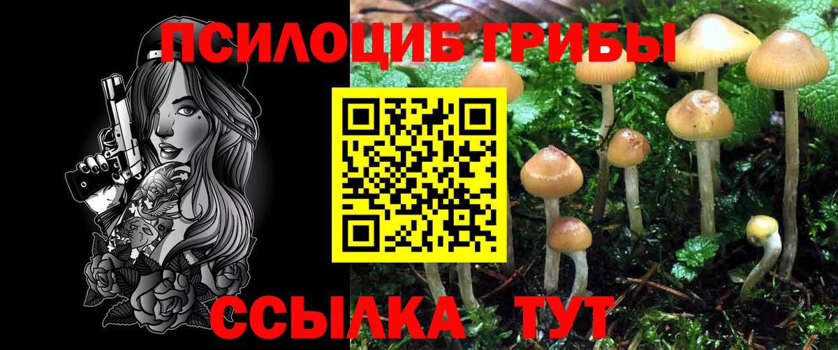 Галлюциногенные грибы Psilocybine cubensis Шали