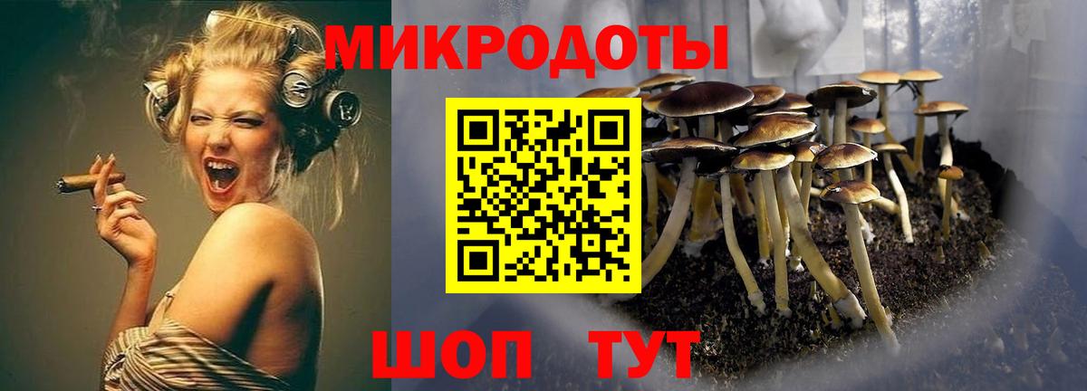 Галлюциногенные грибы GOLDEN TEACHER  Вход с VPN  Шали 